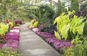 Cheekwood Estate & Gardens